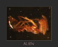 alien-02.jpg