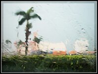 tropical-downpour.jpg