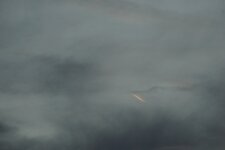 DSC01068.JPG