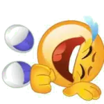1736191757469.webp