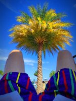 IMG_20250426_171746.jpg