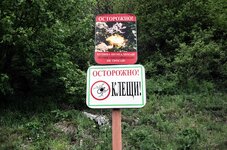 клещи 11.jpg