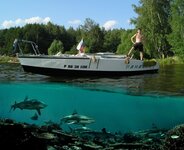 Саша и акулы.jpg