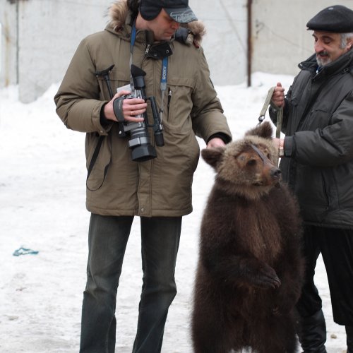 Паша и медведь