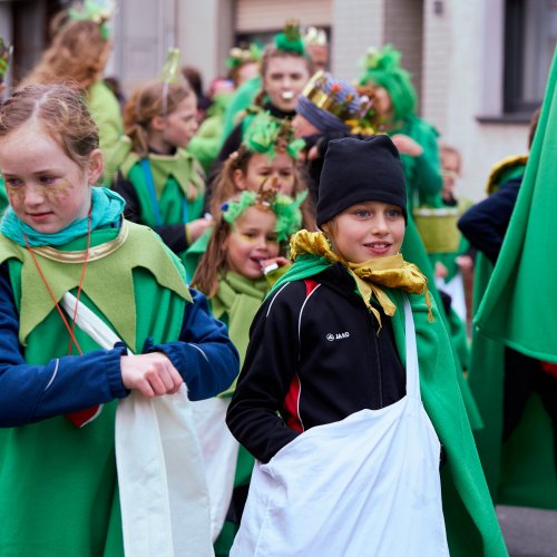 Karneval in Bornheim5.jpg