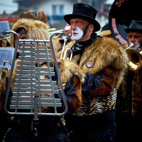 Karneval in Bornheim13.jpg