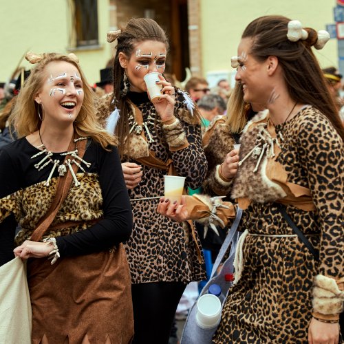 Karneval in Bornheim19.jpg