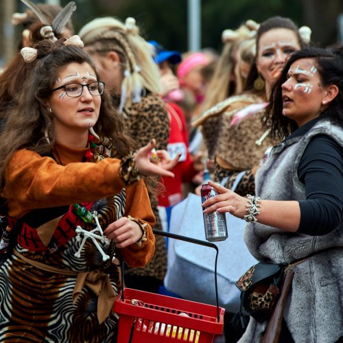 Karneval in Bornheim21.jpg