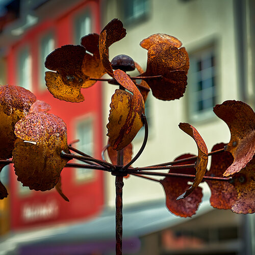 Meersburg