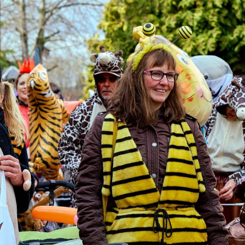 Karneval in Bornheim38.jpg