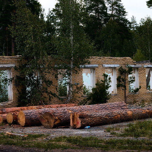 Вишневогорский Орленок.