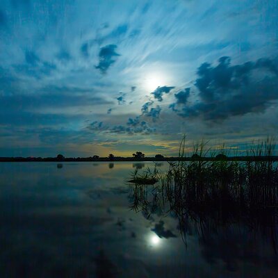 5D__0404-topaz-upscale-1.8x5D__0404-topaz-upscale-1.8x_MQ 1080p.jpg