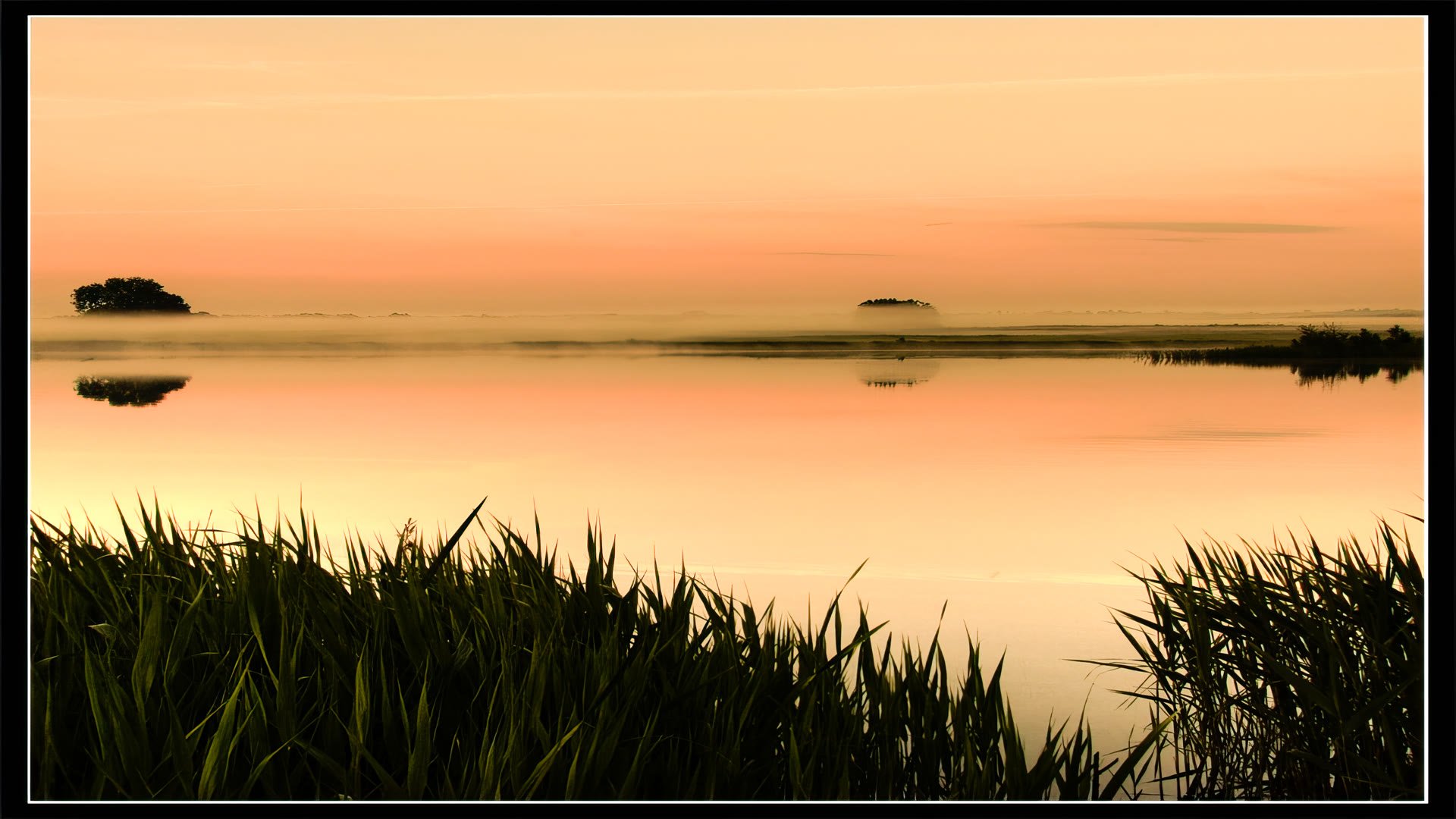 Мещёрская сторона. Селецкое озеро I 2008-2009-topaz-upscale-3.9xМещёрская сторона. Селецкое оз...jpg