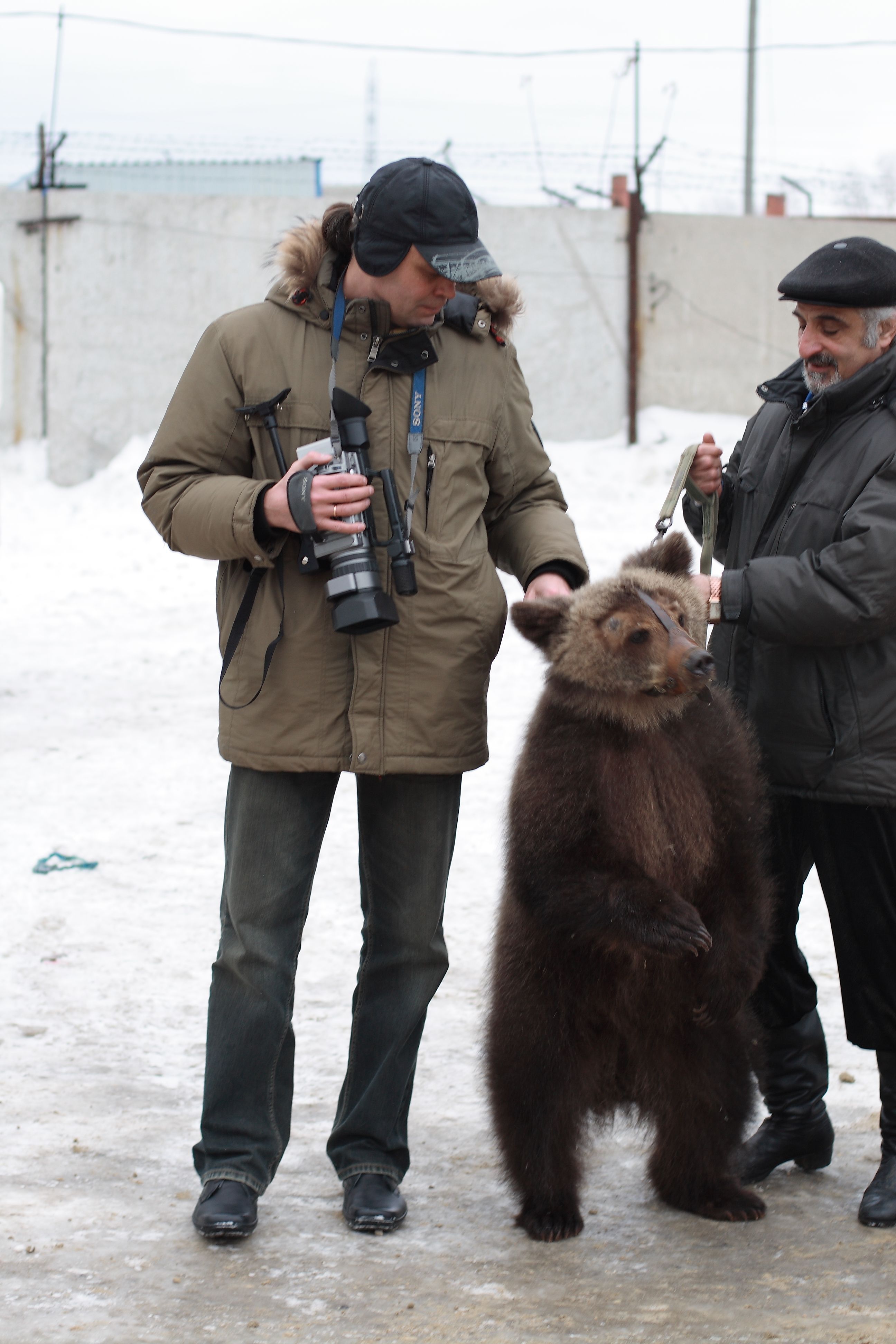 Паша и медведь